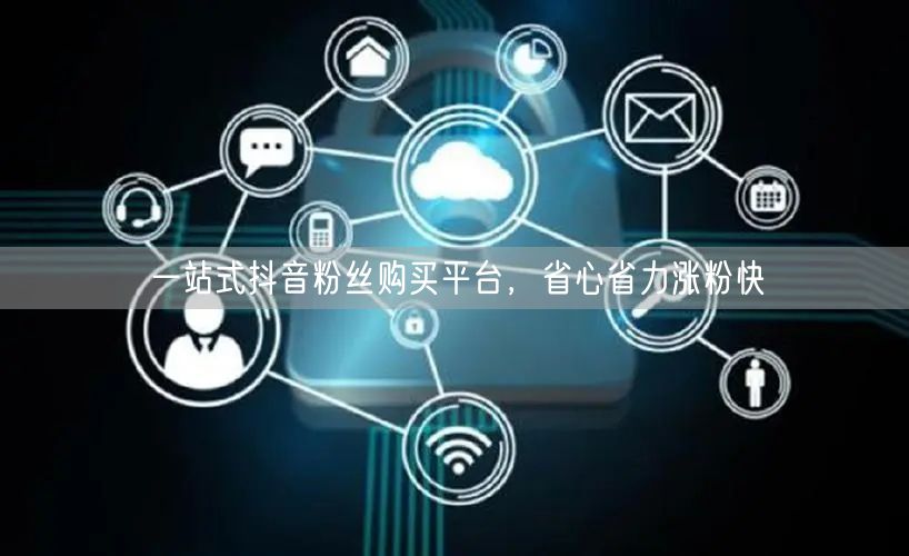 一站式抖音粉丝购买平台，省心省力涨粉快