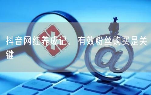 抖音网红养成记，有效粉丝购买是关键