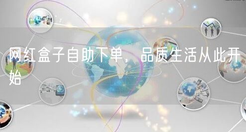 网红盒子自助下单，品质生活从此开始