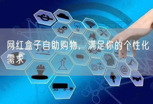 网红盒子自助购物，满足你的个性化需求