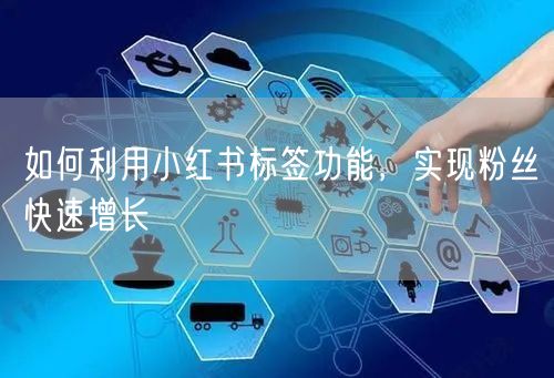 如何利用小红书标签功能，实现粉丝快速增长