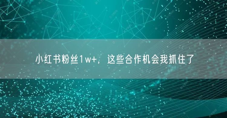 小红书粉丝1w+，这些合作机会我抓住了