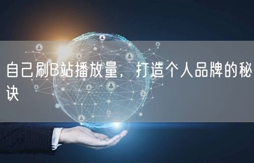 自己刷B站播放量，打造个人品牌的秘诀